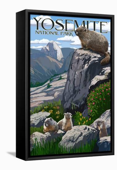 Yosemite National Park, California - Marmots-Lantern Press-Framed Stretched Canvas