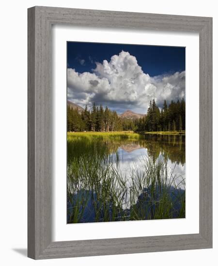 Yosemite National Park, California: Pond Along Entrance Gate at Tioga Pass and Tuolumne Meadows.-Ian Shive-Framed Photographic Print