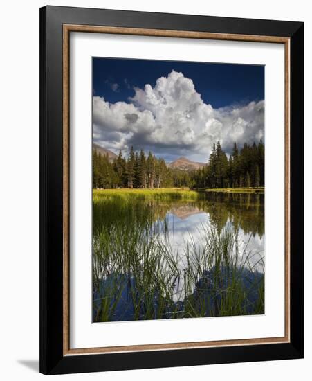 Yosemite National Park, California: Pond Along Entrance Gate at Tioga Pass and Tuolumne Meadows.-Ian Shive-Framed Photographic Print