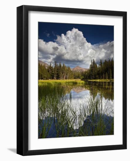 Yosemite National Park, California: Pond Along Entrance Gate at Tioga Pass and Tuolumne Meadows.-Ian Shive-Framed Photographic Print