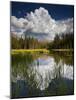 Yosemite National Park, California: Pond Along Entrance Gate at Tioga Pass and Tuolumne Meadows.-Ian Shive-Mounted Photographic Print