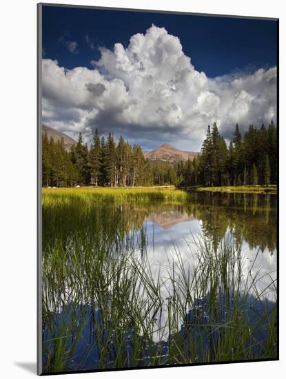 Yosemite National Park, California: Pond Along Entrance Gate at Tioga Pass and Tuolumne Meadows.-Ian Shive-Mounted Photographic Print
