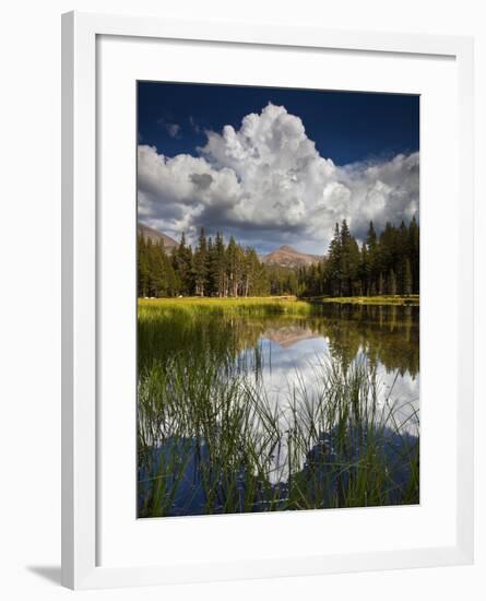 Yosemite National Park, California: Pond Along Entrance Gate at Tioga Pass and Tuolumne Meadows.-Ian Shive-Framed Photographic Print