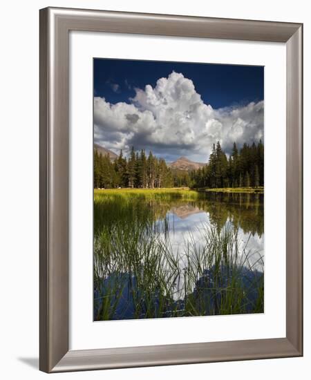 Yosemite National Park, California: Pond Along Entrance Gate at Tioga Pass and Tuolumne Meadows.-Ian Shive-Framed Photographic Print