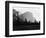 Yosemite National Park, El Capitan Photograph - Yosemite, CA-Lantern Press-Framed Premium Giclee Print