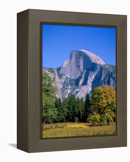 Yosemite National Park, Half Dome and Autumn Leaves, California, USA-Steve Vidler-Framed Premier Image Canvas