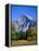 Yosemite National Park, Half Dome and Autumn Leaves, California, USA-Steve Vidler-Framed Premier Image Canvas