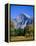 Yosemite National Park, Half Dome and Autumn Leaves, California, USA-Steve Vidler-Framed Premier Image Canvas