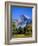 Yosemite National Park, Half Dome and Autumn Leaves, California, USA-Steve Vidler-Framed Photographic Print