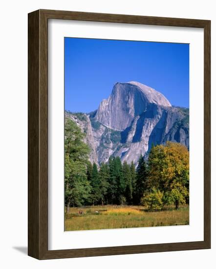 Yosemite National Park, Half Dome and Autumn Leaves, California, USA-Steve Vidler-Framed Photographic Print