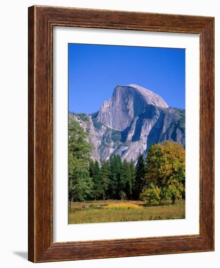 Yosemite National Park, Half Dome and Autumn Leaves, California, USA-Steve Vidler-Framed Photographic Print