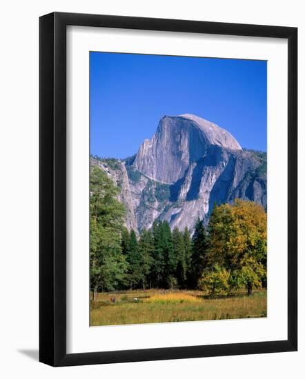 Yosemite National Park, Half Dome and Autumn Leaves, California, USA-Steve Vidler-Framed Photographic Print