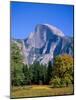 Yosemite National Park, Half Dome and Autumn Leaves, California, USA-Steve Vidler-Mounted Photographic Print