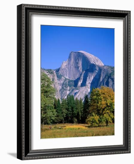 Yosemite National Park, Half Dome and Autumn Leaves, California, USA-Steve Vidler-Framed Photographic Print