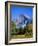 Yosemite National Park, Half Dome and Autumn Leaves, California, USA-Steve Vidler-Framed Photographic Print