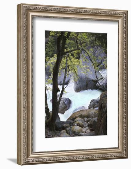 Yosemite National Park, Wyoming, USA. Intimate River Scene-Janet Muir-Framed Photographic Print