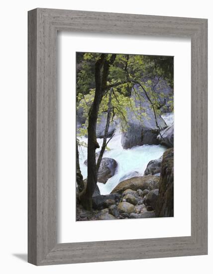 Yosemite National Park, Wyoming, USA. Intimate River Scene-Janet Muir-Framed Photographic Print