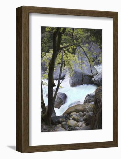 Yosemite National Park, Wyoming, USA. Intimate River Scene-Janet Muir-Framed Photographic Print