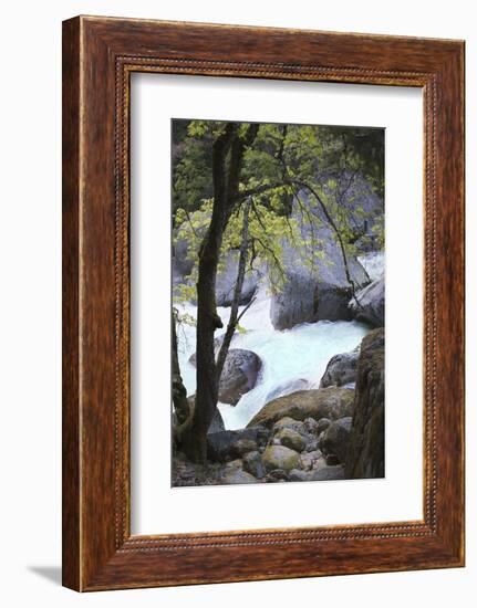 Yosemite National Park, Wyoming, USA. Intimate River Scene-Janet Muir-Framed Photographic Print