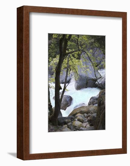 Yosemite National Park, Wyoming, USA. Intimate River Scene-Janet Muir-Framed Photographic Print