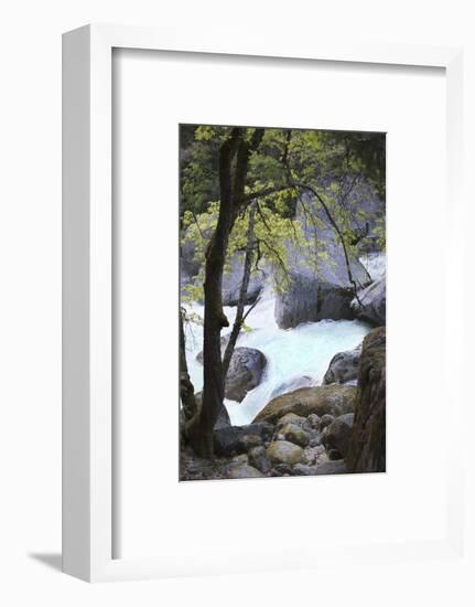 Yosemite National Park, Wyoming, USA. Intimate River Scene-Janet Muir-Framed Photographic Print