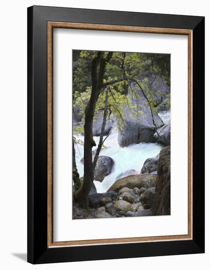 Yosemite National Park, Wyoming, USA. Intimate River Scene-Janet Muir-Framed Photographic Print