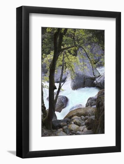 Yosemite National Park, Wyoming, USA. Intimate River Scene-Janet Muir-Framed Photographic Print