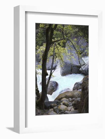 Yosemite National Park, Wyoming, USA. Intimate River Scene-Janet Muir-Framed Photographic Print