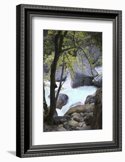 Yosemite National Park, Wyoming, USA. Intimate River Scene-Janet Muir-Framed Photographic Print