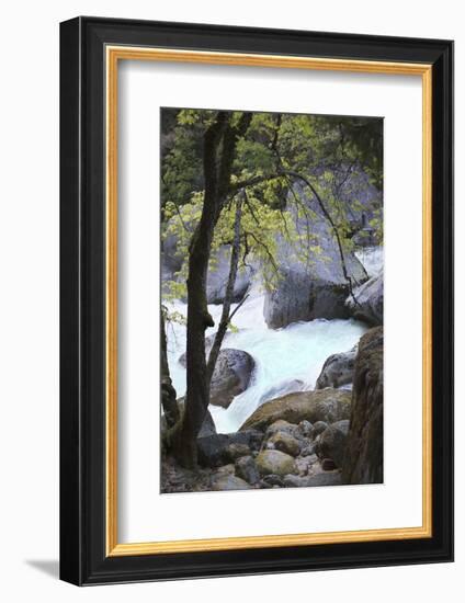 Yosemite National Park, Wyoming, USA. Intimate River Scene-Janet Muir-Framed Photographic Print