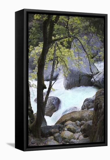 Yosemite National Park, Wyoming, USA. Intimate River Scene-Janet Muir-Framed Premier Image Canvas