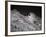 Yosemite National Park-Carol Highsmith-Framed Photo