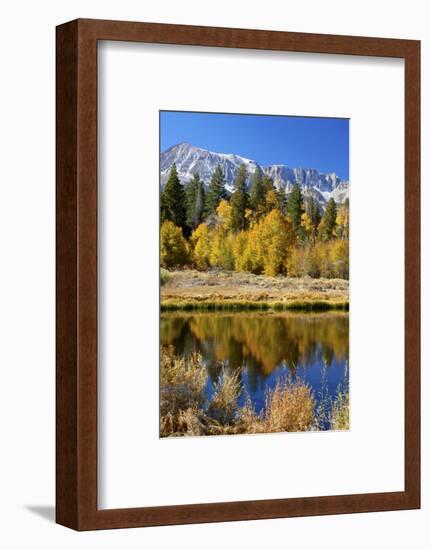 Yosemite's Mount Dana as Seen from Lee Vining Canyon in the Sierras-John Alves-Framed Photographic Print