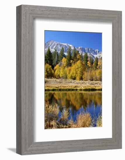 Yosemite's Mount Dana as Seen from Lee Vining Canyon in the Sierras-John Alves-Framed Photographic Print