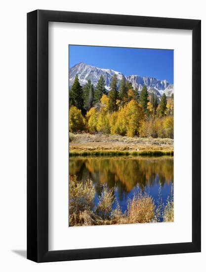 Yosemite's Mount Dana as Seen from Lee Vining Canyon in the Sierras-John Alves-Framed Photographic Print