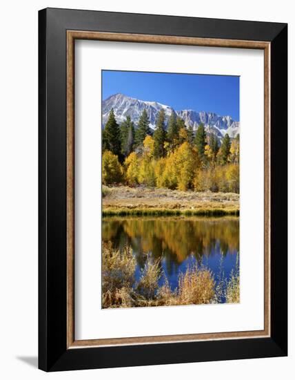 Yosemite's Mount Dana as Seen from Lee Vining Canyon in the Sierras-John Alves-Framed Photographic Print