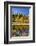 Yosemite's Mount Dana as Seen from Lee Vining Canyon in the Sierras-John Alves-Framed Photographic Print