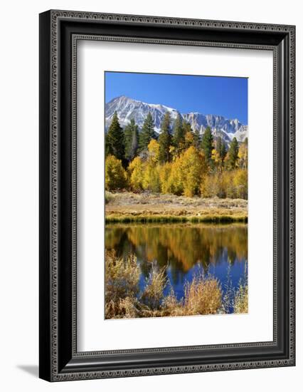 Yosemite's Mount Dana as Seen from Lee Vining Canyon in the Sierras-John Alves-Framed Photographic Print