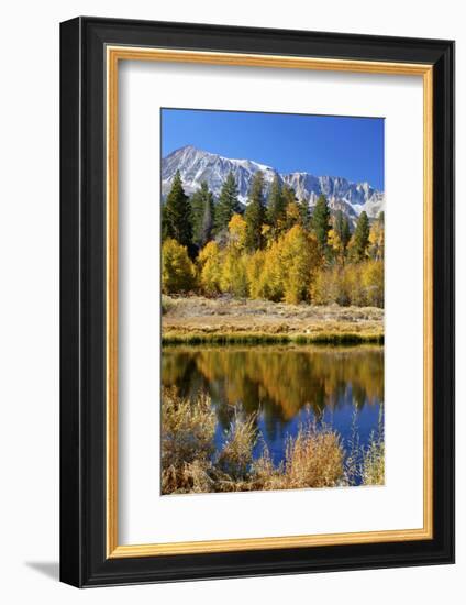 Yosemite's Mount Dana as Seen from Lee Vining Canyon in the Sierras-John Alves-Framed Photographic Print