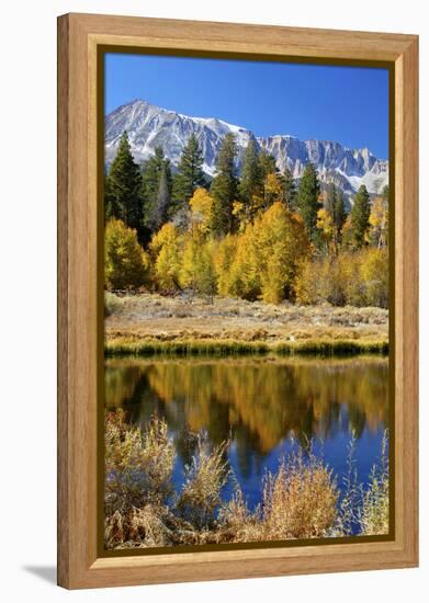 Yosemite's Mount Dana as Seen from Lee Vining Canyon in the Sierras-John Alves-Framed Premier Image Canvas