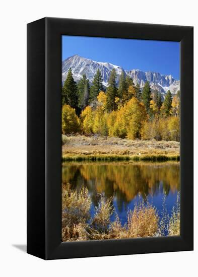 Yosemite's Mount Dana as Seen from Lee Vining Canyon in the Sierras-John Alves-Framed Premier Image Canvas