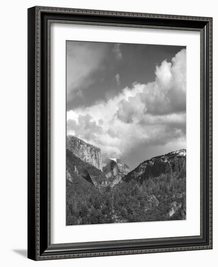 Yosemite Valley, CAlifornia,USA-Anna Miller-Framed Photographic Print