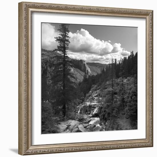 Yosemite Valley, CAlifornia,USA-Anna Miller-Framed Photographic Print