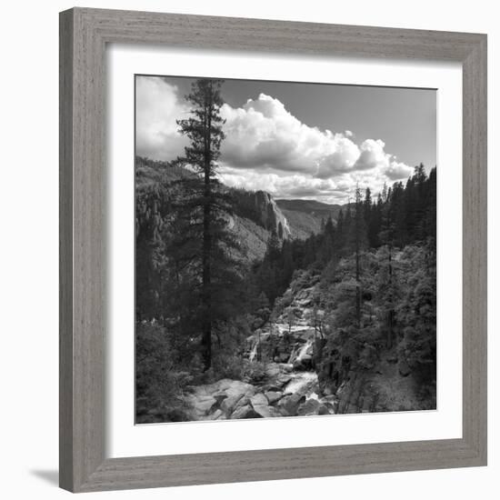 Yosemite Valley, CAlifornia,USA-Anna Miller-Framed Photographic Print