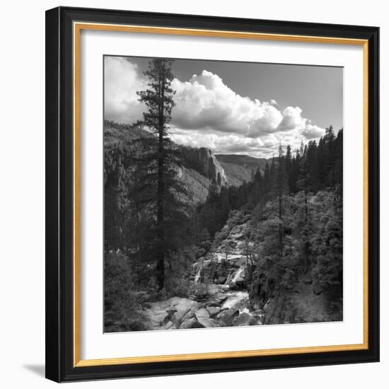 Yosemite Valley, CAlifornia,USA-Anna Miller-Framed Photographic Print