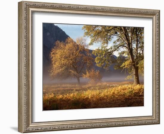 Yosemite Valley in Fall Foliage-Craig Lovell-Framed Photographic Print