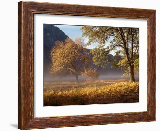 Yosemite Valley in Fall Foliage-Craig Lovell-Framed Photographic Print