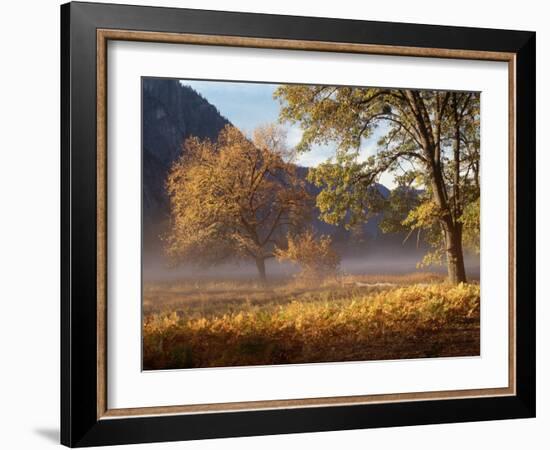 Yosemite Valley in Fall Foliage-Craig Lovell-Framed Photographic Print