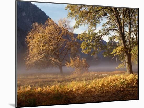 Yosemite Valley in Fall Foliage-Craig Lovell-Mounted Photographic Print