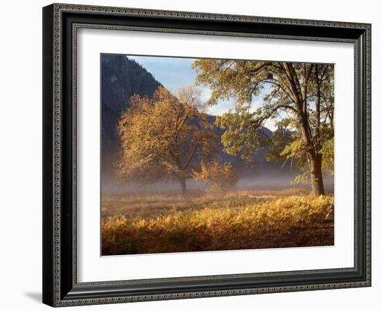 Yosemite Valley in Fall Foliage-Craig Lovell-Framed Photographic Print